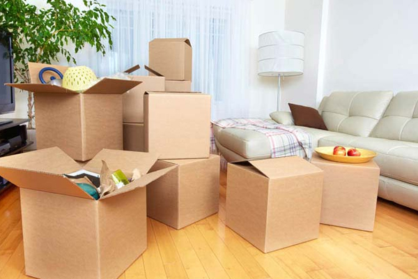 Pioneer Logistics and Packers